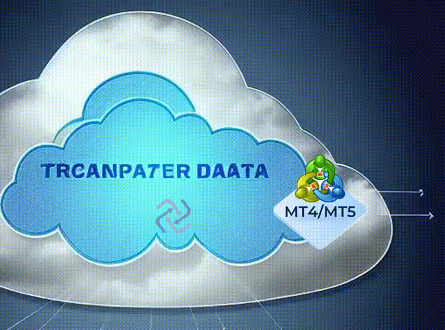 MetaBacktest MetaTrader5 added